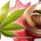 Marijuana and Workplace Safety Series II
