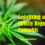 Marijuana and Workplace Safety Series I